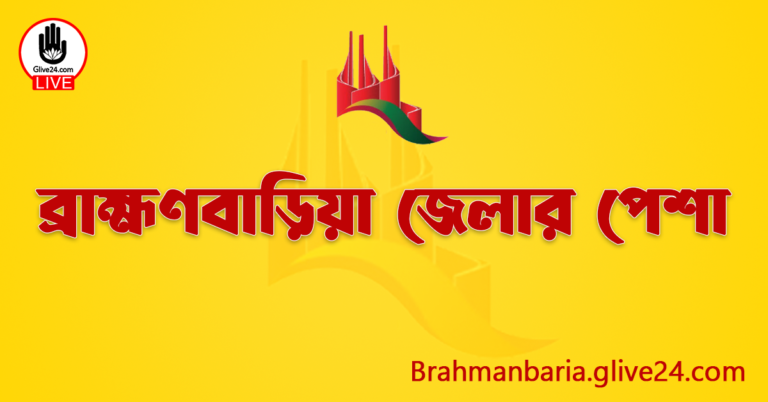 ব্রাহ্মণবাড়িয়া জেলার পেশা